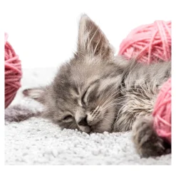 Anti-Rutsch-Auflage Katze