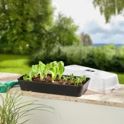 Anzuchtbeet mit Haube „2 in 1“