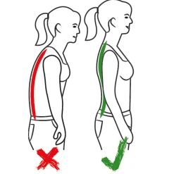 Bauch- und Rückenstützgürtel 