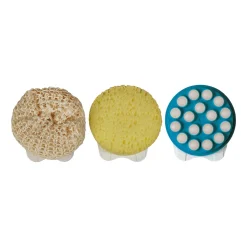 Eincremehilfe mit Schwamm- und Sisalaufsatz, 3-teilig