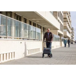 Einkaufsrollator Rollz Flex mit Sitz und Tasche, faltbar Jungle Green