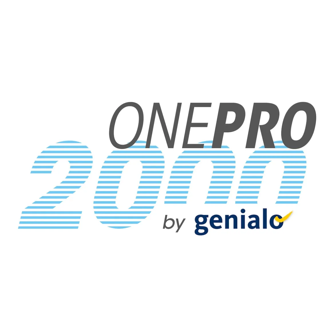 Elektrischer Wischaufsatz für Akku-Zyklon-Staubsauger "onePRO 2000"