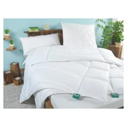 Kissen Klima Active Plus 040x080