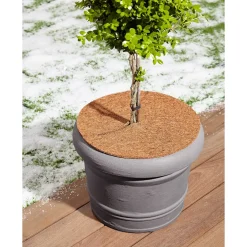 Kokos-Abdeckscheibe, 2 Stück