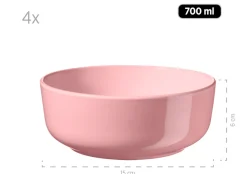 Kombiservice, Steinzeug ALENIA Rosa