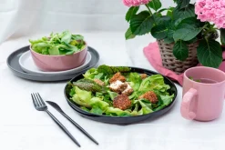 Kombiservice, Steinzeug ALENIA Rosa