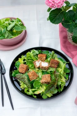 Kombiservice, Steinzeug ALENIA Rosa