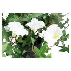 Kunstblume "Winde" weiß