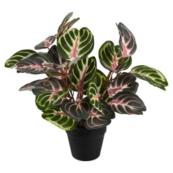 Kunstpflanze "Alocasia"