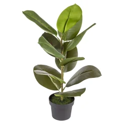 Kunstpflanze „Gummibaum“