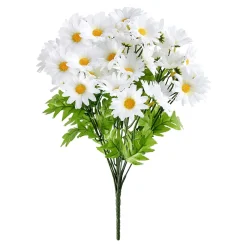 Margeritenbusch weiß