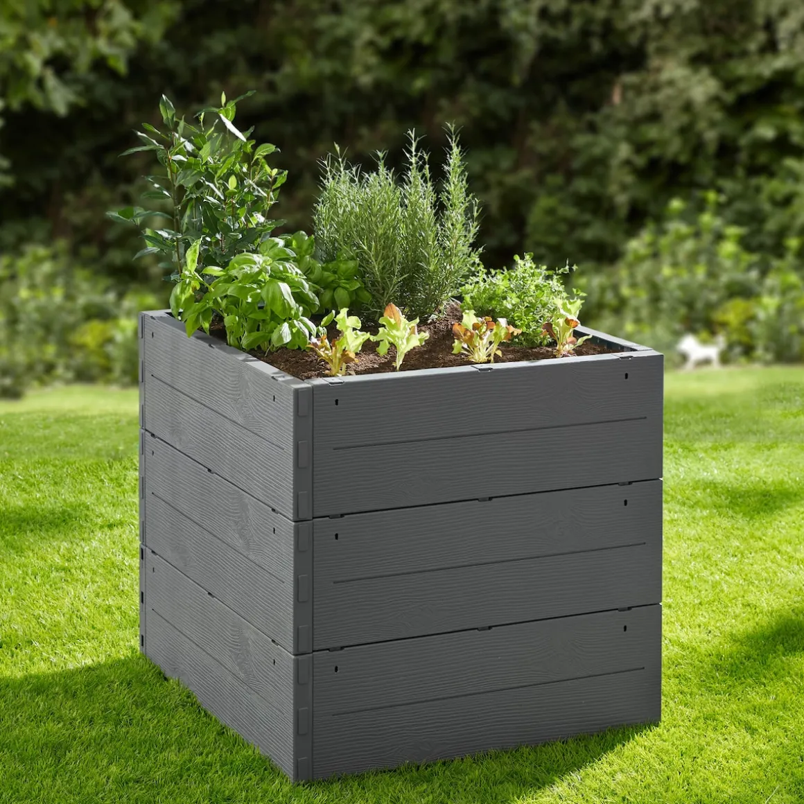 Multi-Hochbeet, 6-teilig