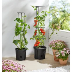 Tomaten-Pflanztopf mit Rankhilfe M (ØxH): 30x115 cm