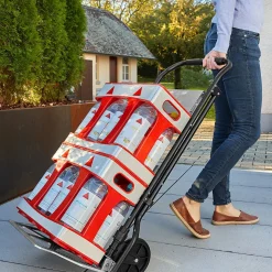 Trittlasten-Trolley, Trittleiter 2 Stufen 