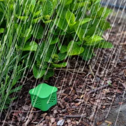 Verdufter, 300 g Katze