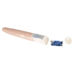 Vibrator 